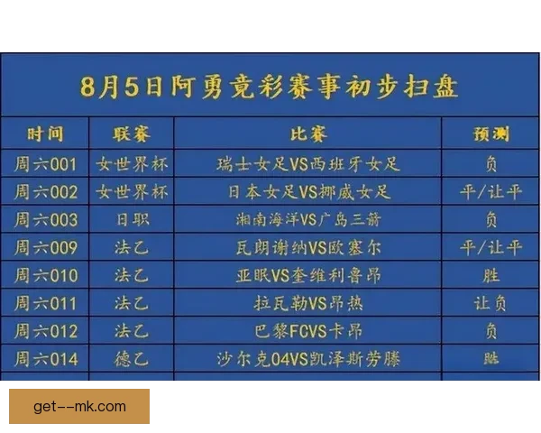 瓦格纳接手诺维奇后未能实现升级目标球队面临重建挑战